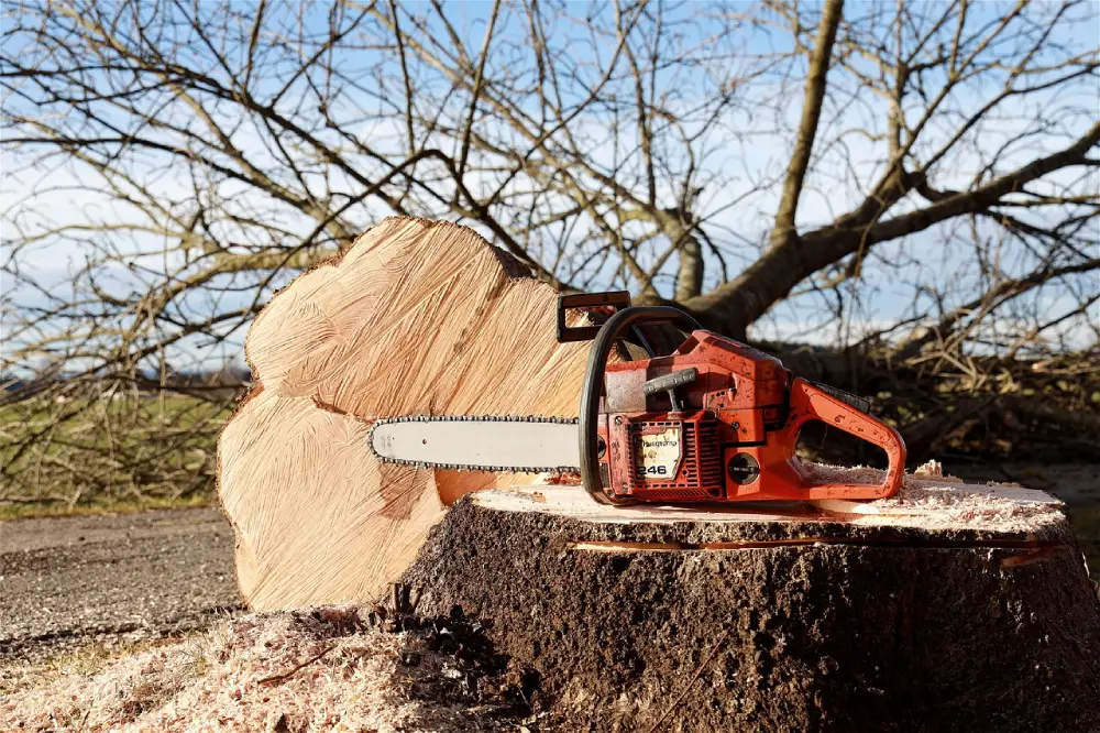 chainsaw-4815949_1280